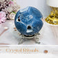 Rare Blue Coral Fossil Sphere on Stand 305g