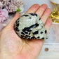 Picture Jasper Carved Skull 6.5cm 205g