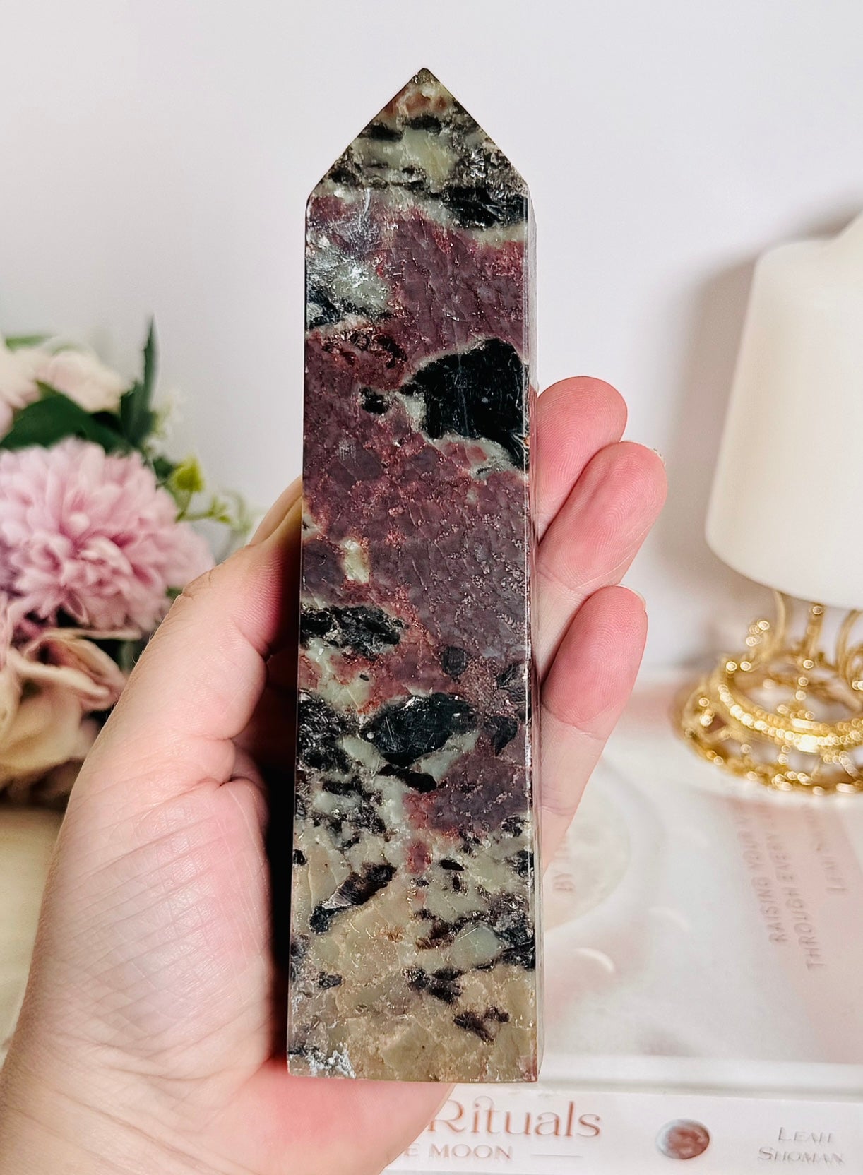 Gorgeous Large 17cm Garnet in Tourmaline Tower | Generator