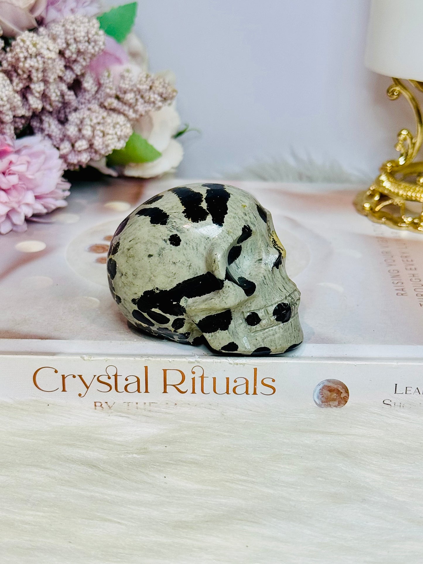 Picture Jasper Carved Skull 6.5cm 205g