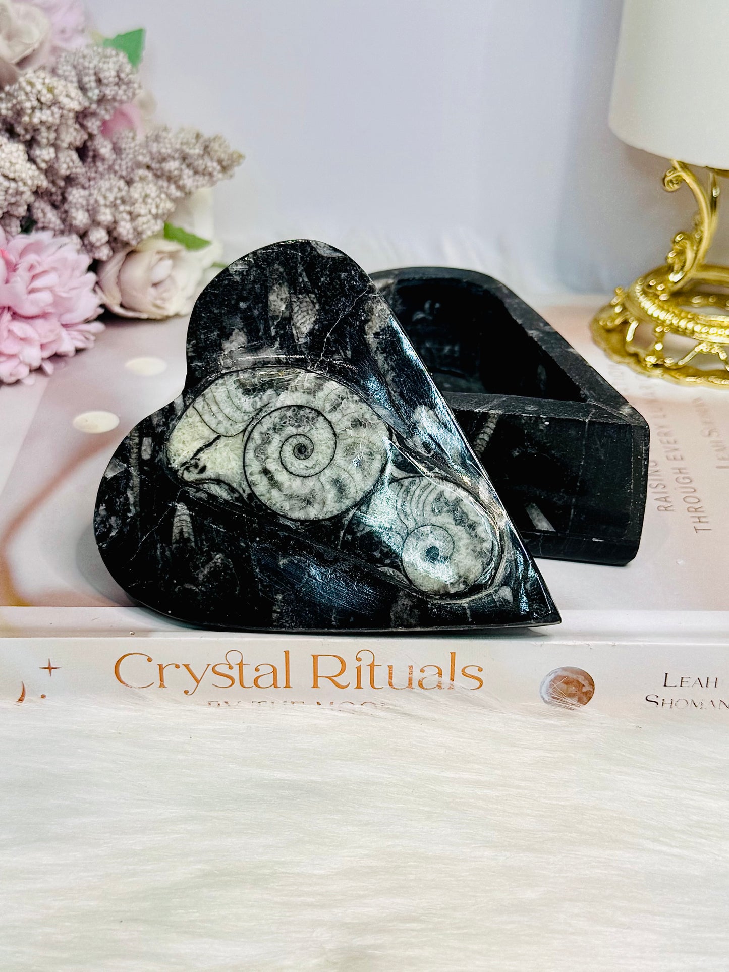 Ancient Fossil Orthoceras Heart Ammonite Jewellery Box 10cm 401g
