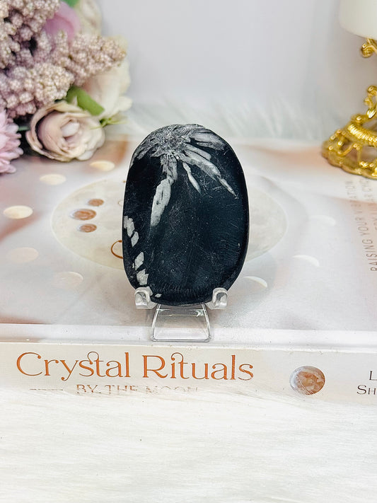 Natural Chrysanthemum Palm Stone (stand is display only)