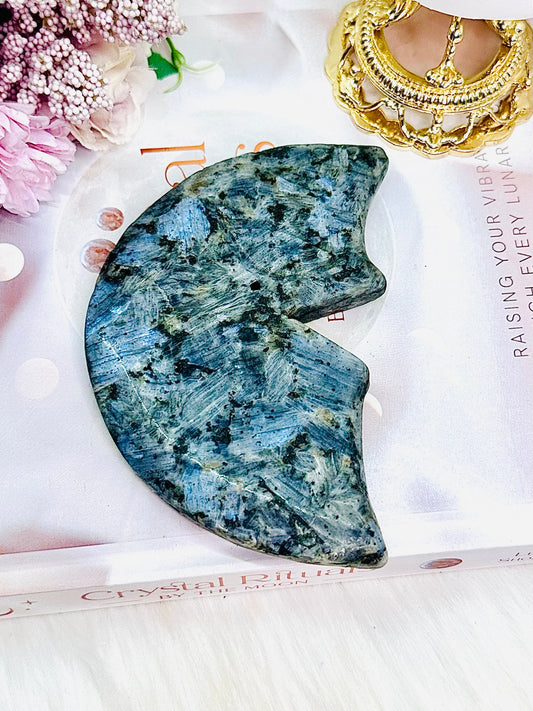 Incredible Large Larvikite Moon Carving Full of Blue Flash