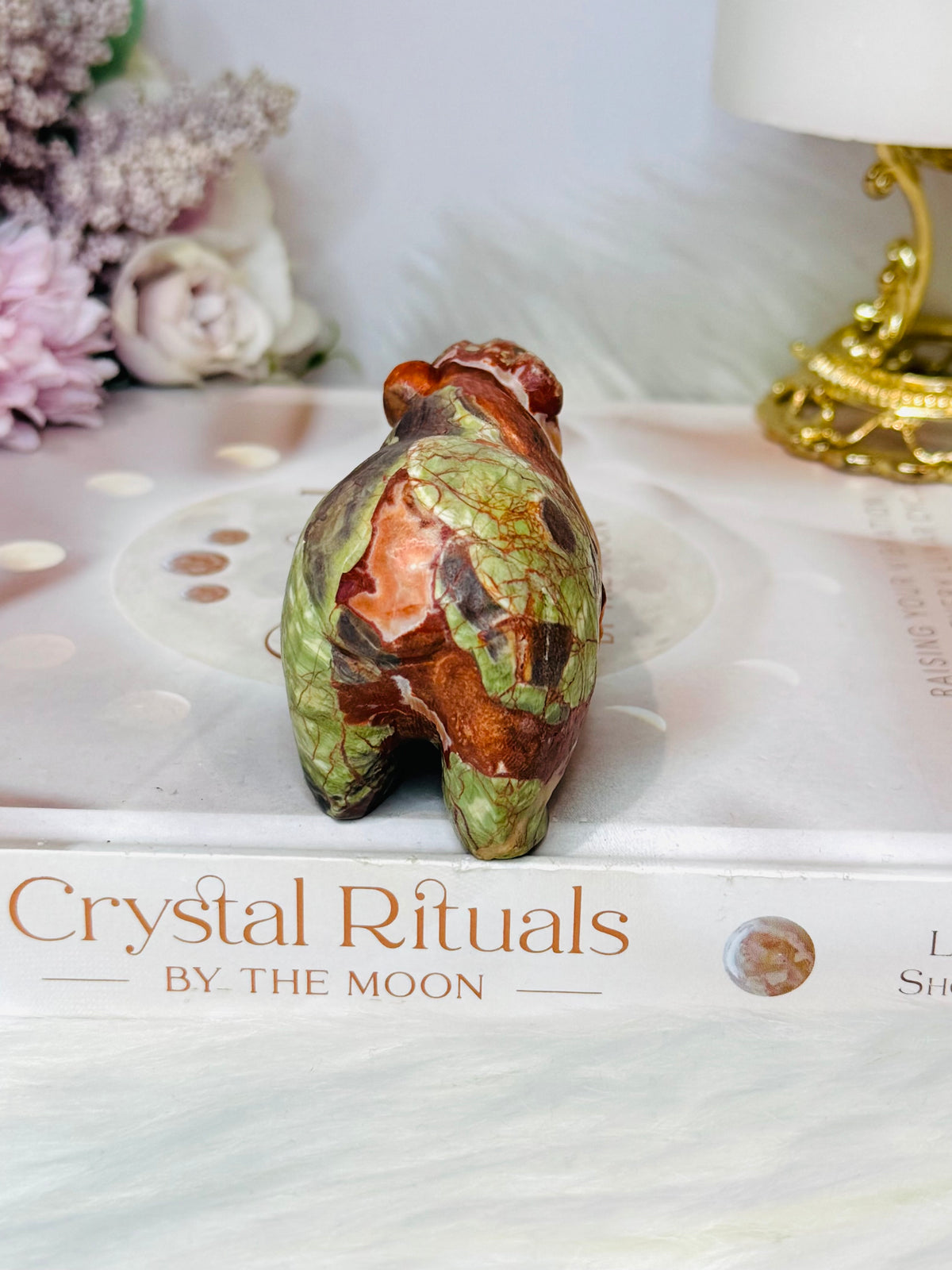 Money Agate Carved Bear 8cm