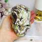 Large Money Agate Druzy Skull 751g