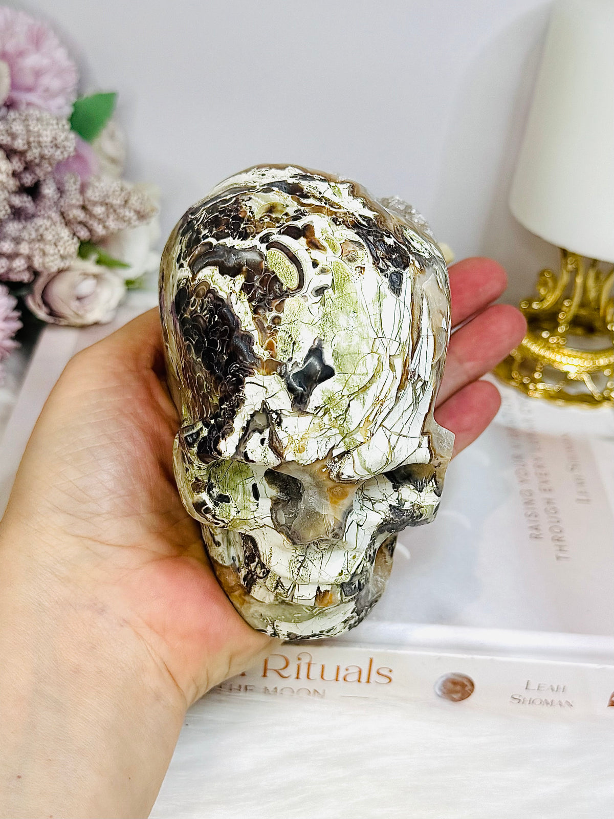 Large Money Agate Druzy Skull 751g