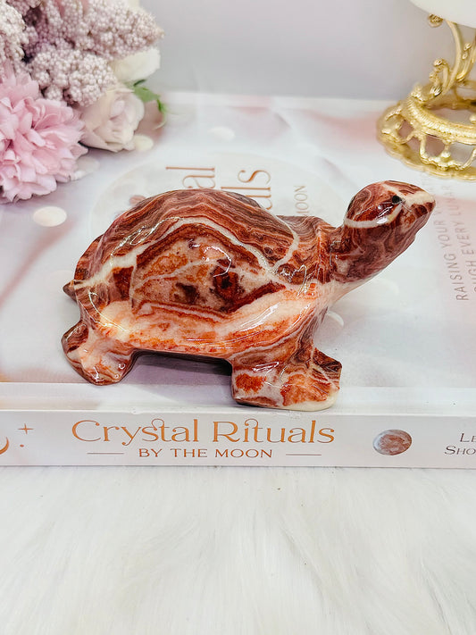 Large Perfectly Carved Red Banded Calcite | Pork Stone Turtle 385grams
