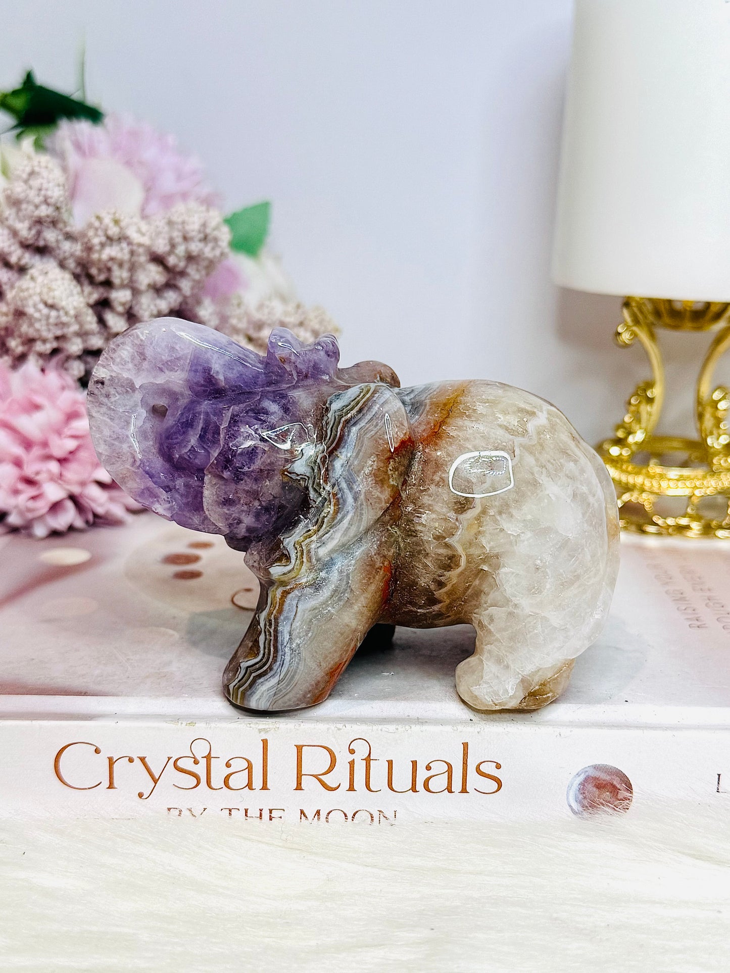 Amethyst X Mexican Lace Agate Elephant 10cm 351g