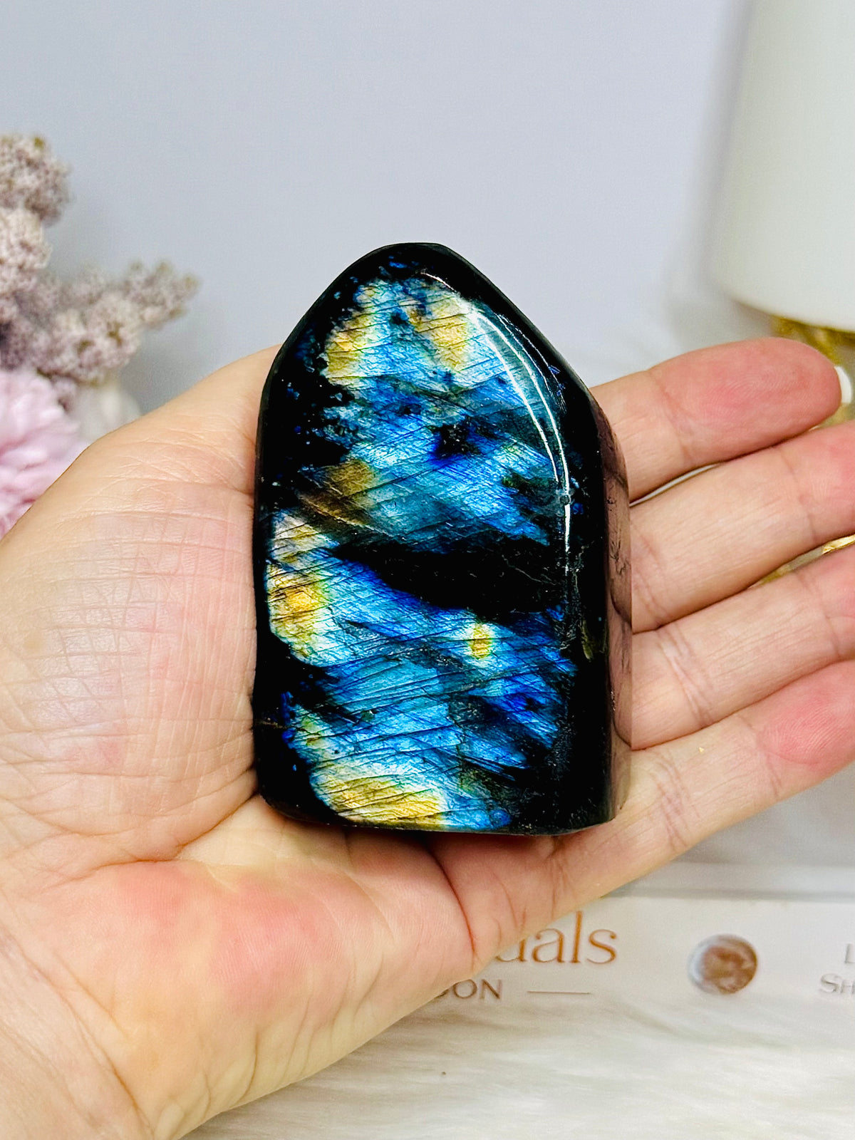 Labradorite Freeform 252g