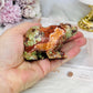 Money Agate Carved Bear 8cm