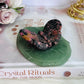 Beautiful Rhodonite Carved Butterfly On Green Aventurine Lillypad 10cm