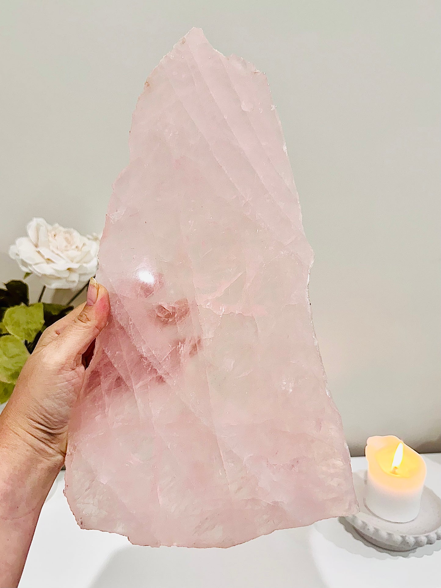 Personal Power ~ Wow!!! Absolutely Huge Stunning 45cm Inc Stand Rose Quartz Wings From Brazil ~ Incredible Piece Of Magic