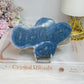 Blue Coral Fossil Specimen Slab on Stand 11.5cm