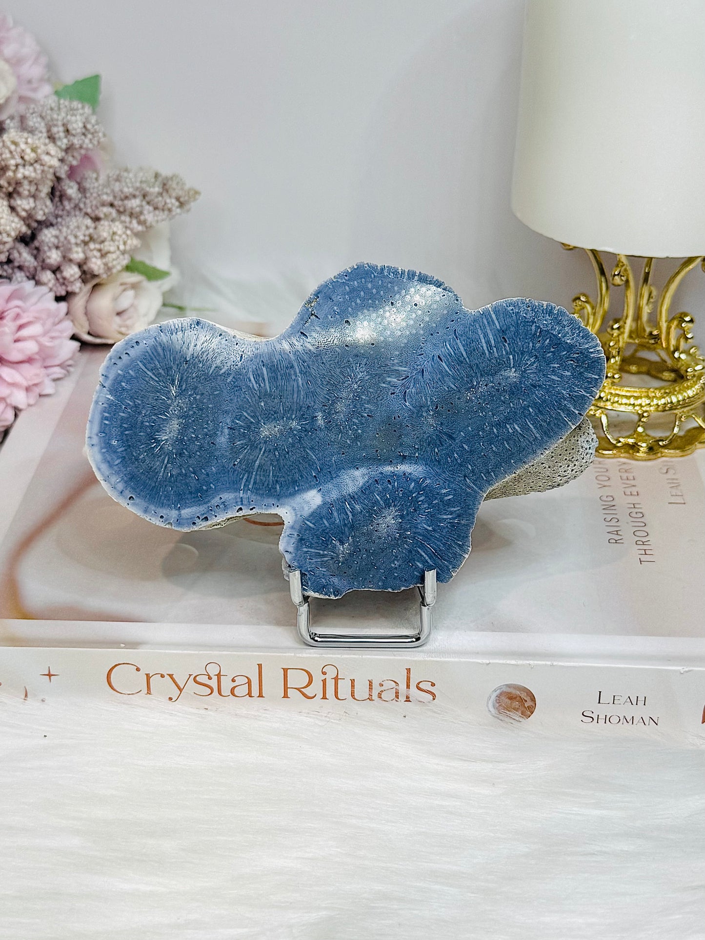 Blue Coral Fossil Specimen Slab on Stand 11.5cm
