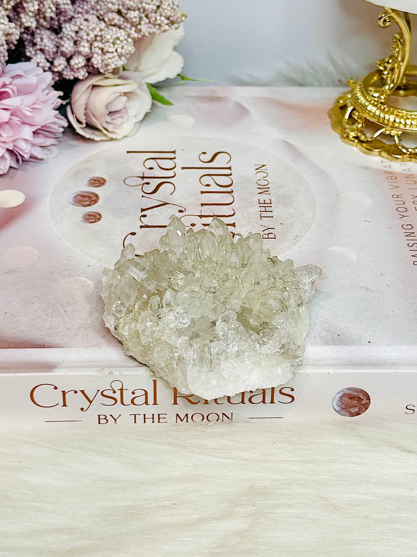 Natural Chrysanthemum Specimen 7cm