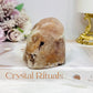 Pink Amethyst Druzy Freeform 7.5cm 299g