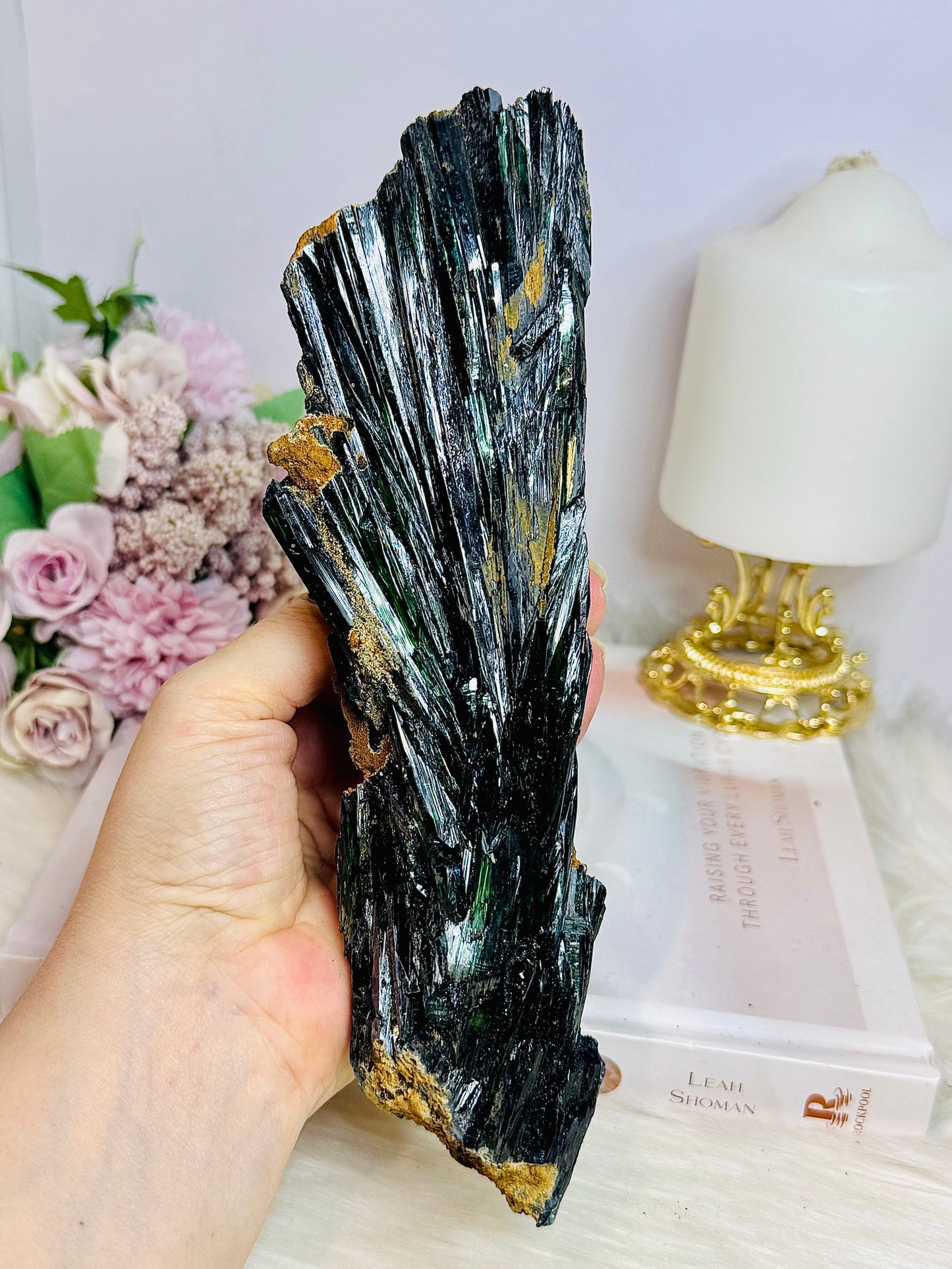 A Collectors Piece ~ Rare Large Vivianite Specimen 22cm 490g