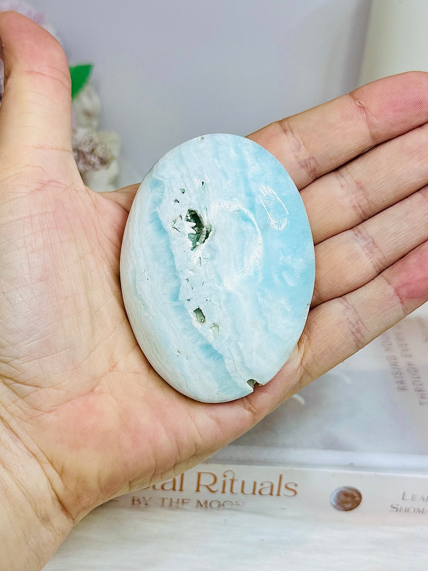 Large Caribbean Calcite Palm Stone