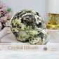 Large Money Agate Druzy Skull 751g
