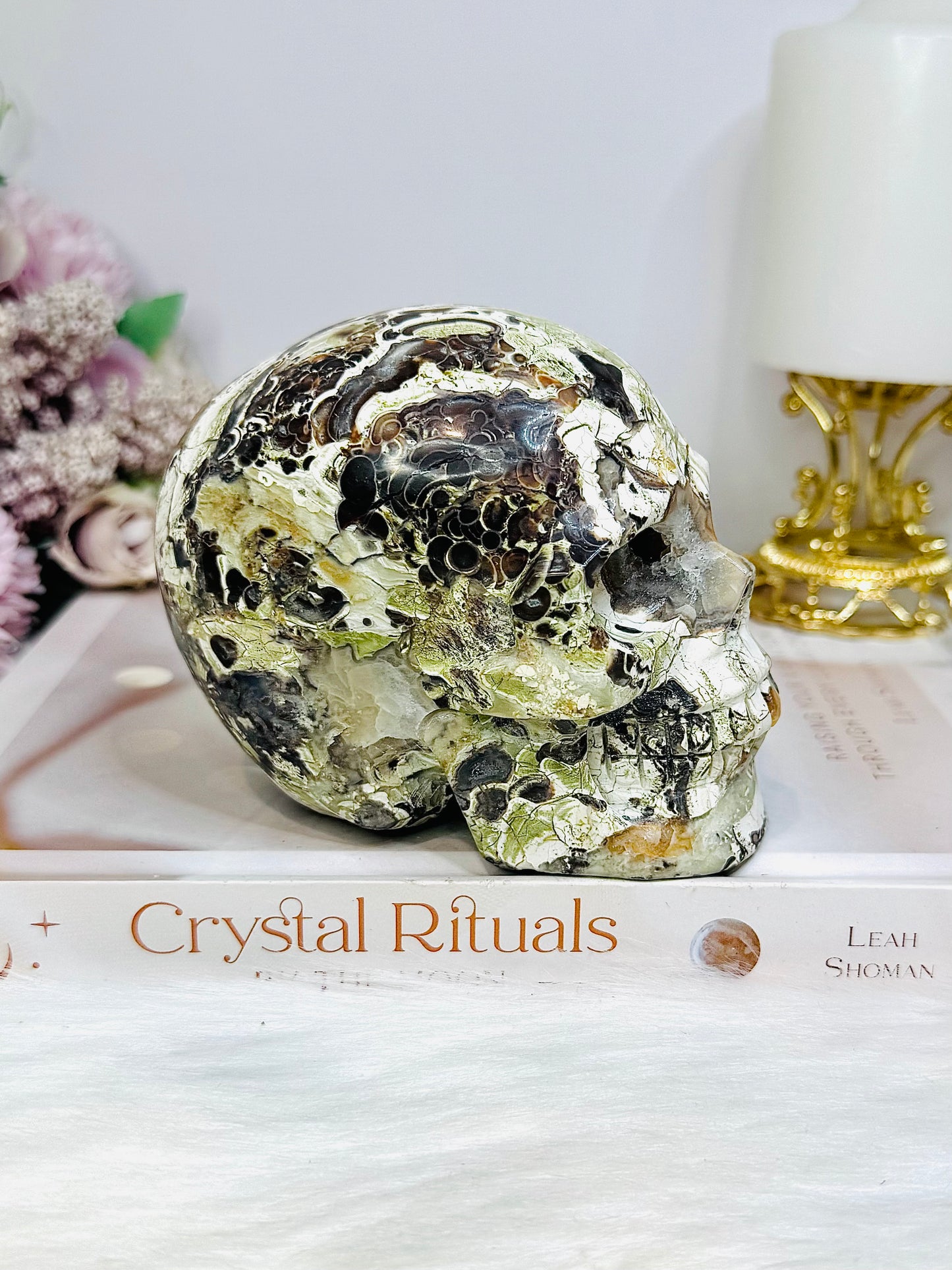 Large Money Agate Druzy Skull 751g