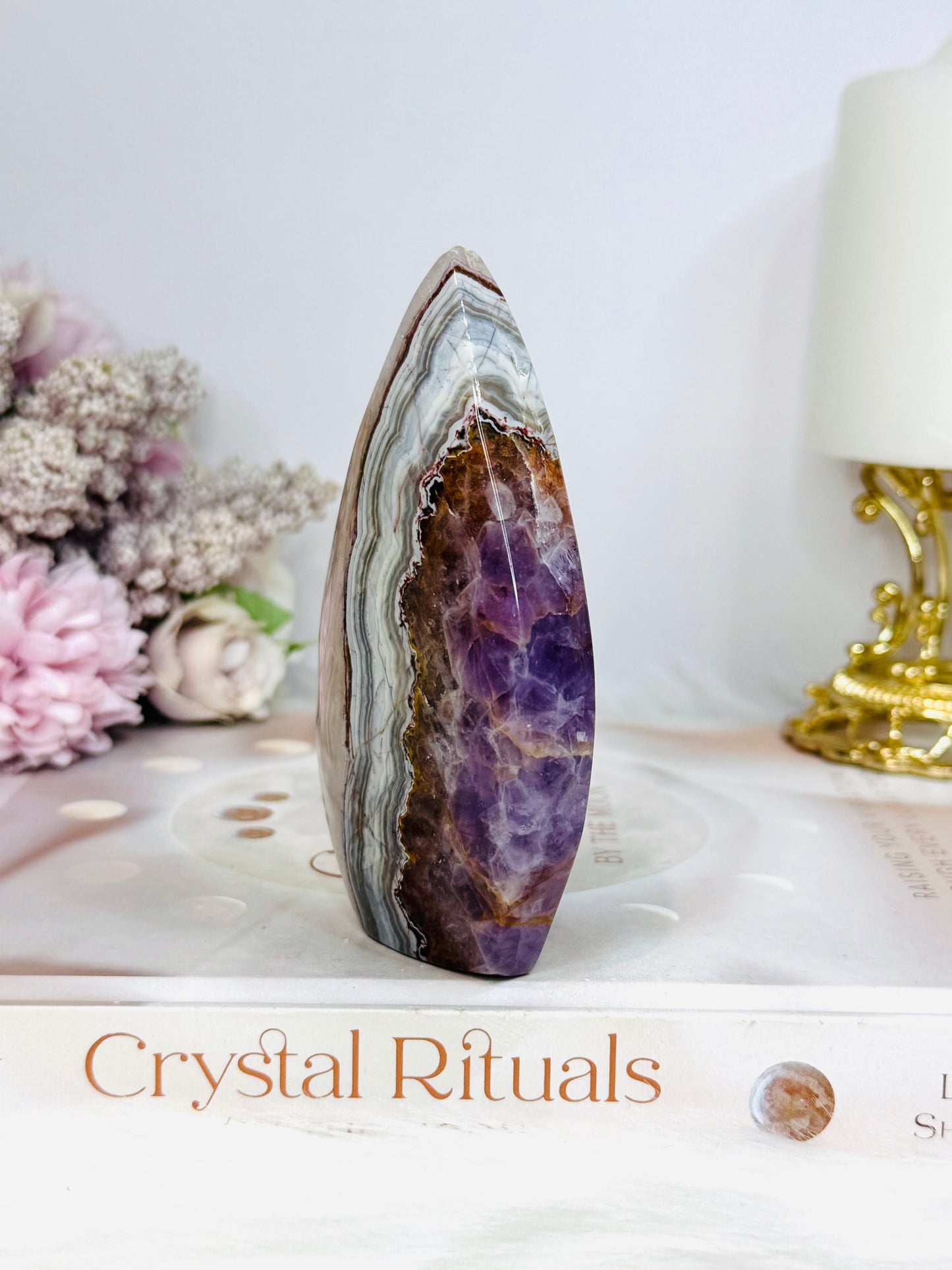 Crazy Lace Amethyst Flame 10cm