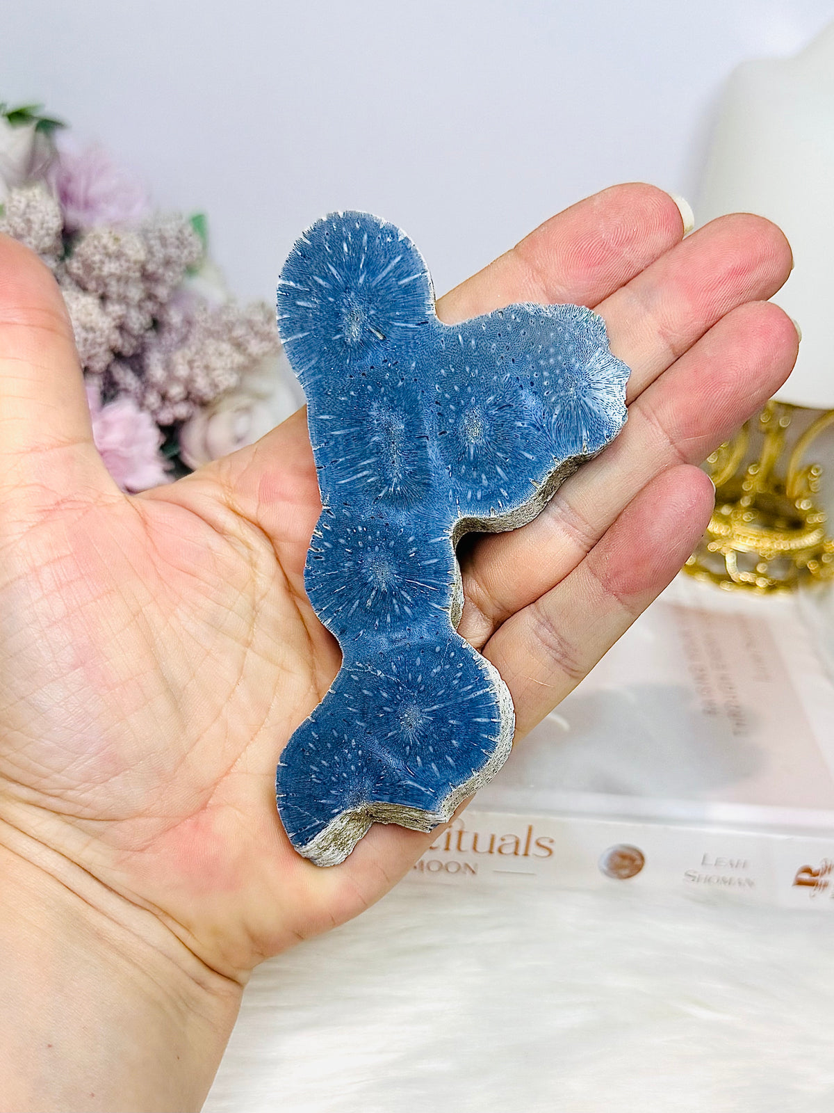 Blue Coral Fossil Specimen 11cm
