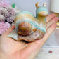 Caribbean Calcite Carved Snail 332g