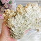 Large Natural Gypsum Selenite Specimen 21cm 578g
