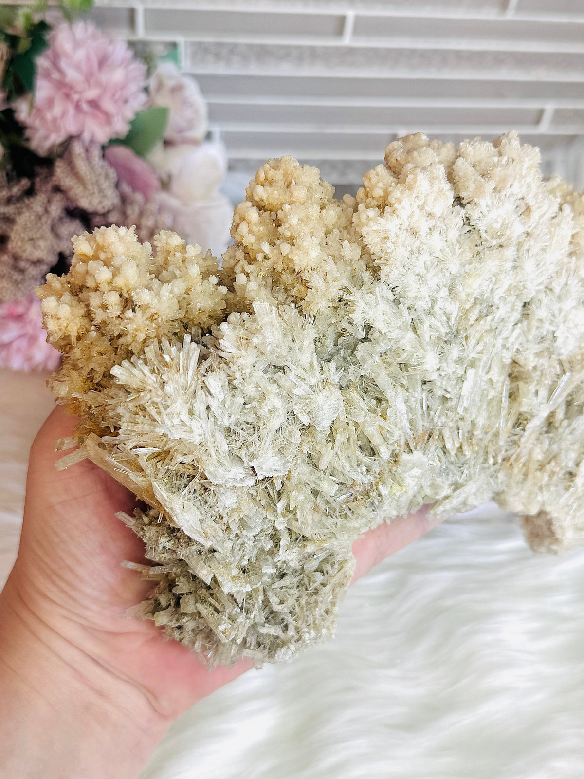 Large Natural Gypsum Selenite Specimen 21cm 578g