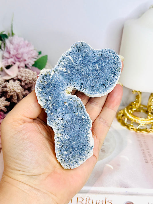 Natural Blue Fossilised Coral Vintage Skeleton Specimen 10cm