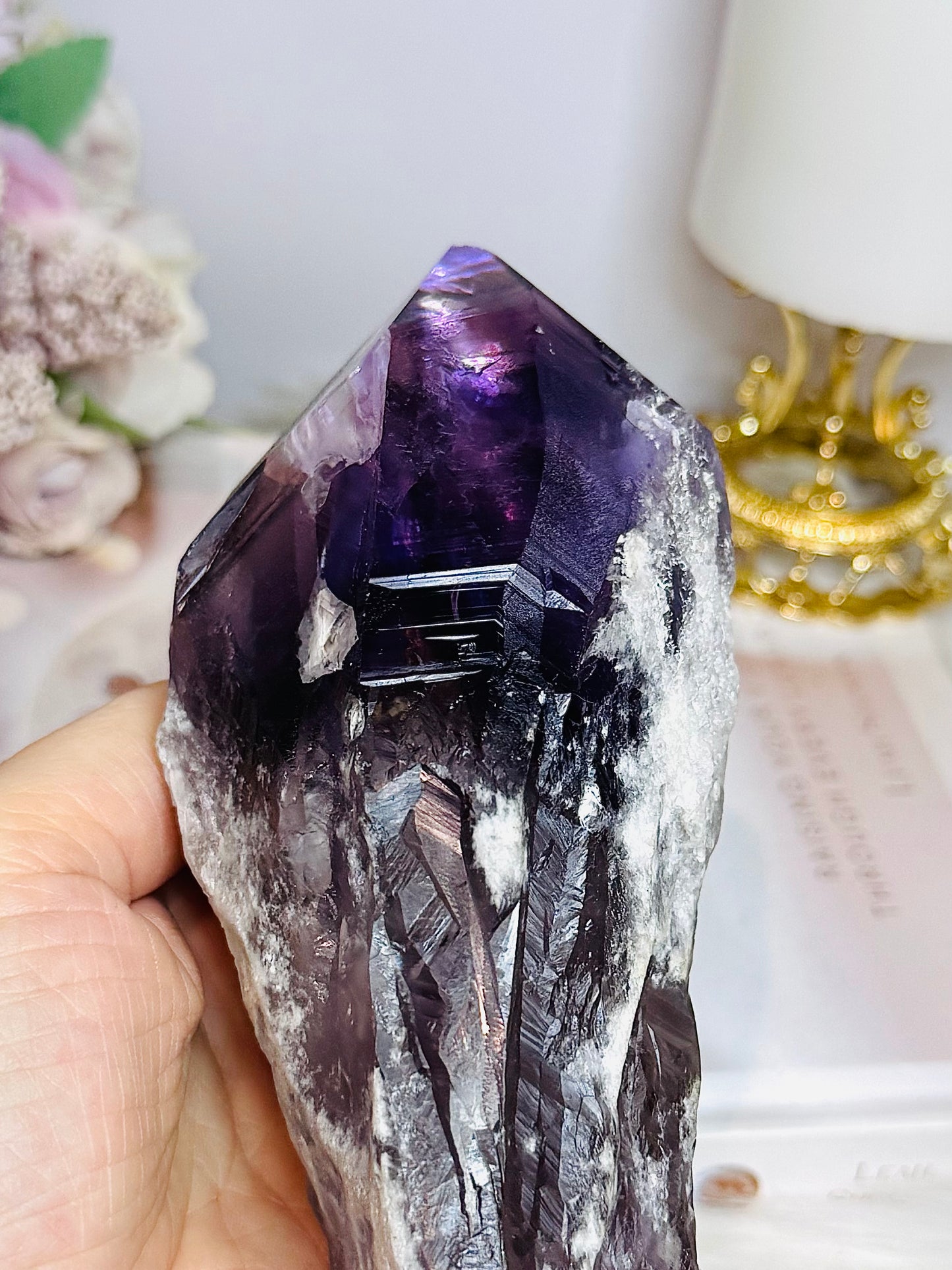 Large Natural Amethyst Dog Tooth Full of Rainbows In Top 18.5cm 652g
