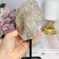 Large 19.5cm Natural Elestial | Alligator Quartz On Stand