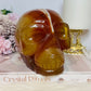 Huge Carnelian Carved Druzy Skull 2.15KG