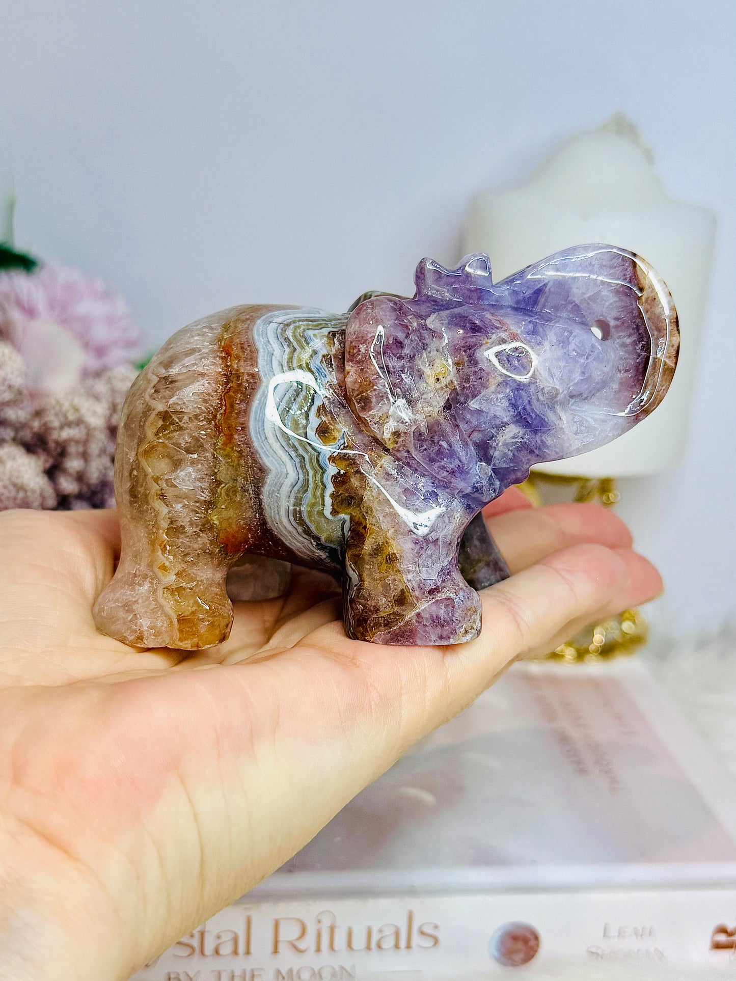 Amethyst X Mexican Lace Agate Elephant 10cm 351g