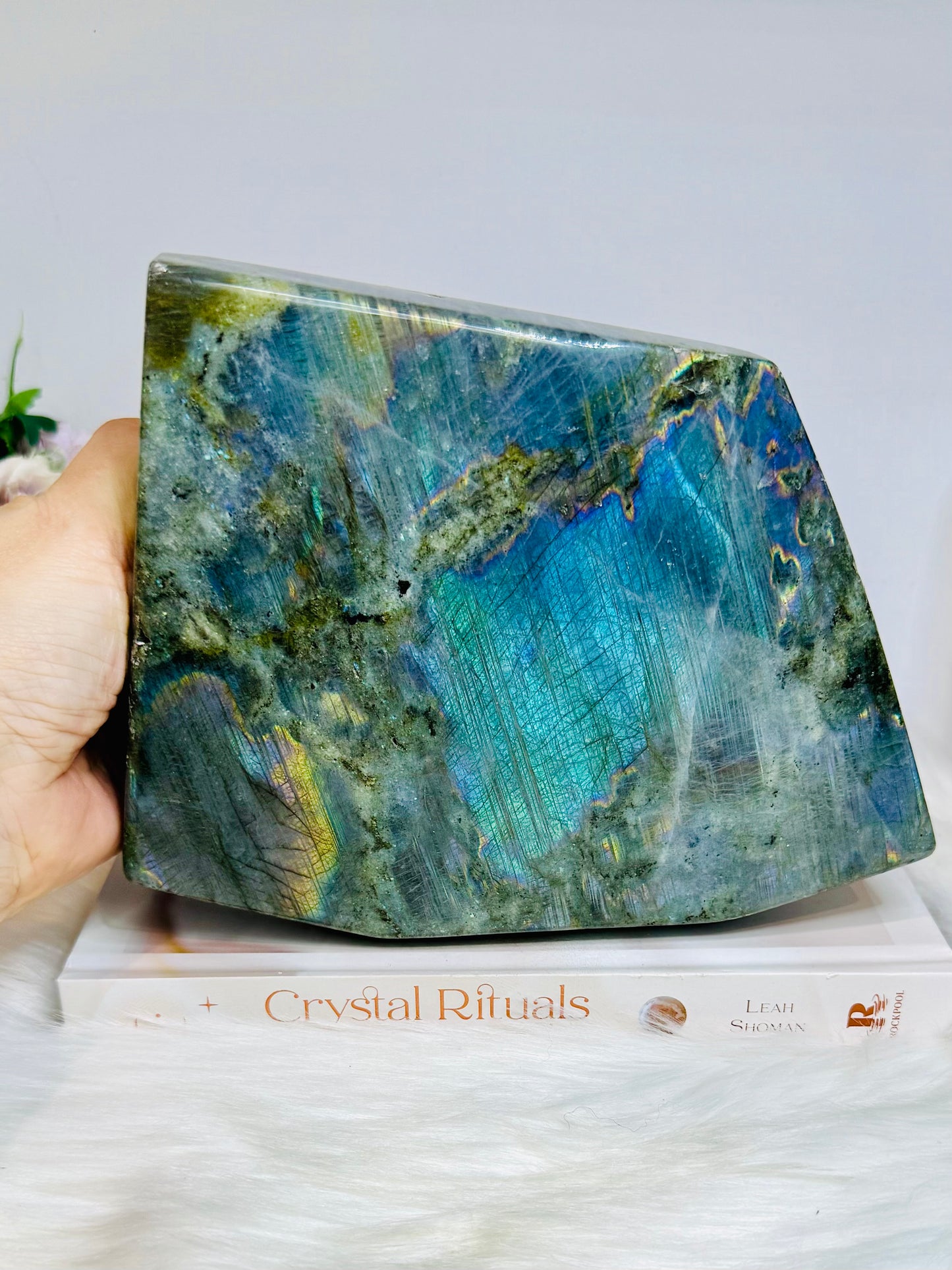 Large Labradorite Freeform Full of Flash 18cm 1.6KG