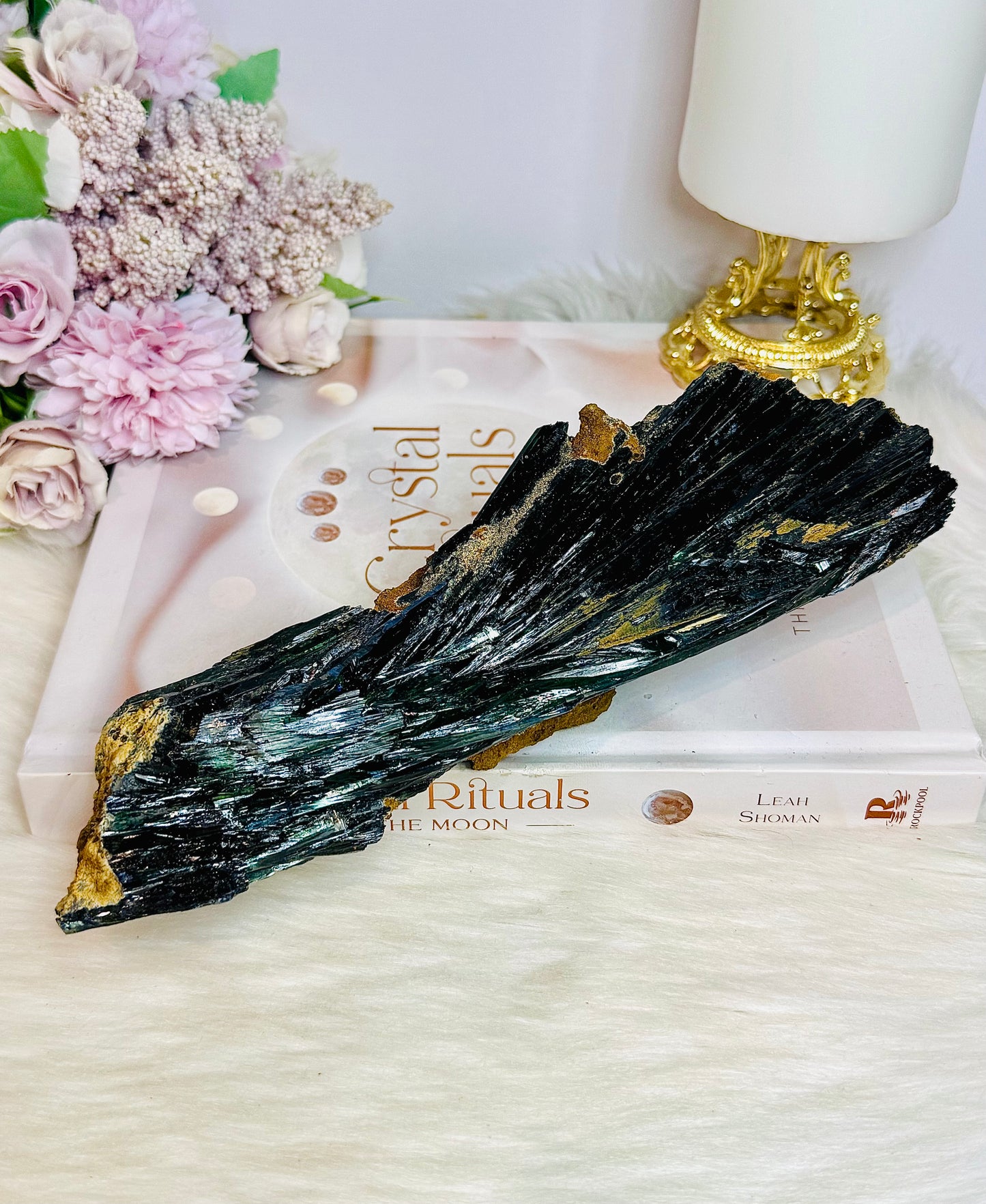 A Collectors Piece ~ Rare Large Vivianite Specimen 22cm 490g