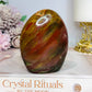 Petrified Wood Chunky Freeform 9cm