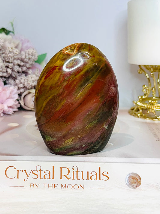 Petrified Wood Chunky Freeform 9cm