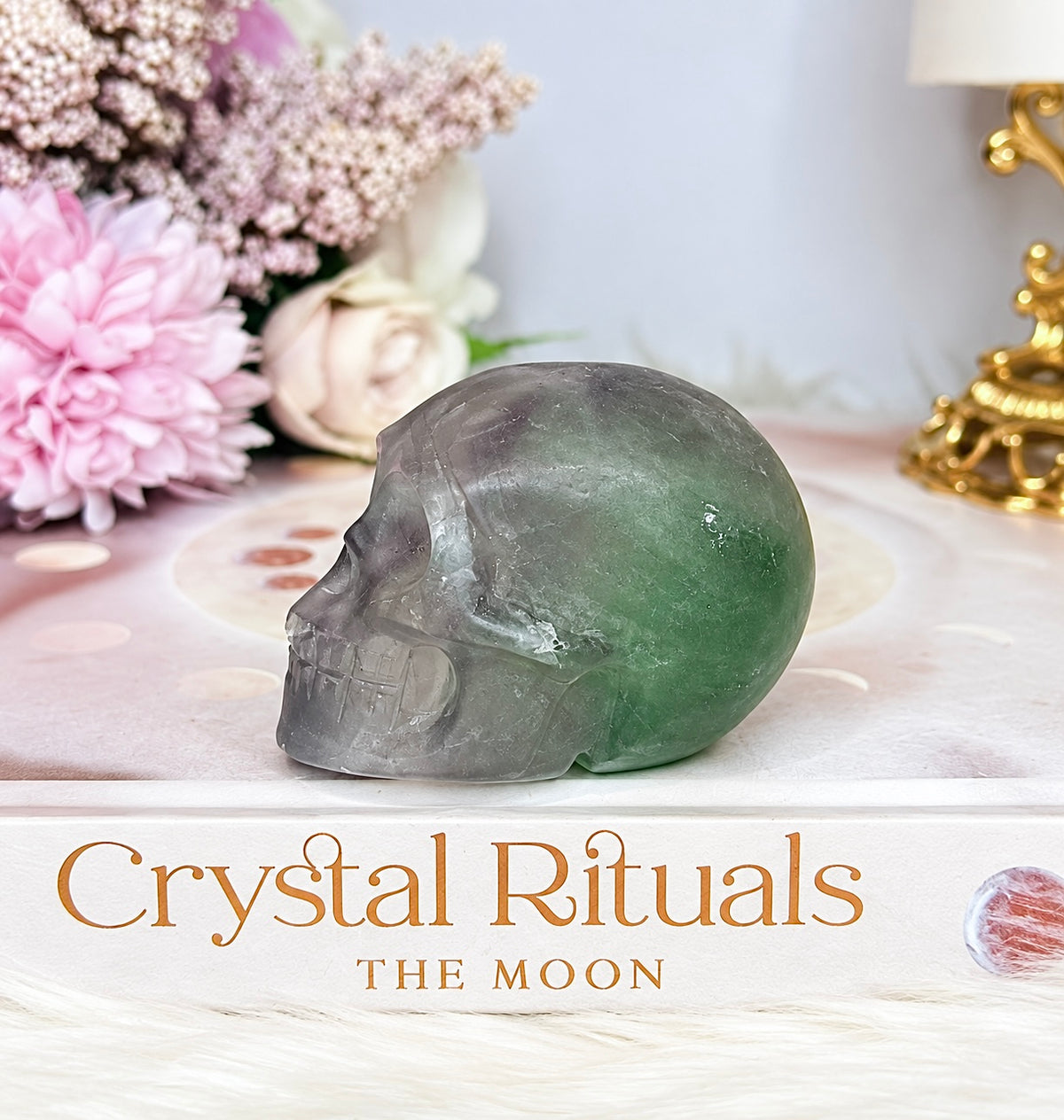 Purple & Green Fluorite Skull (photo taken under light)