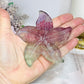 Fluorite Star Fish On Stand 9cm