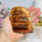 Natural Petrified Wood Slab 217g