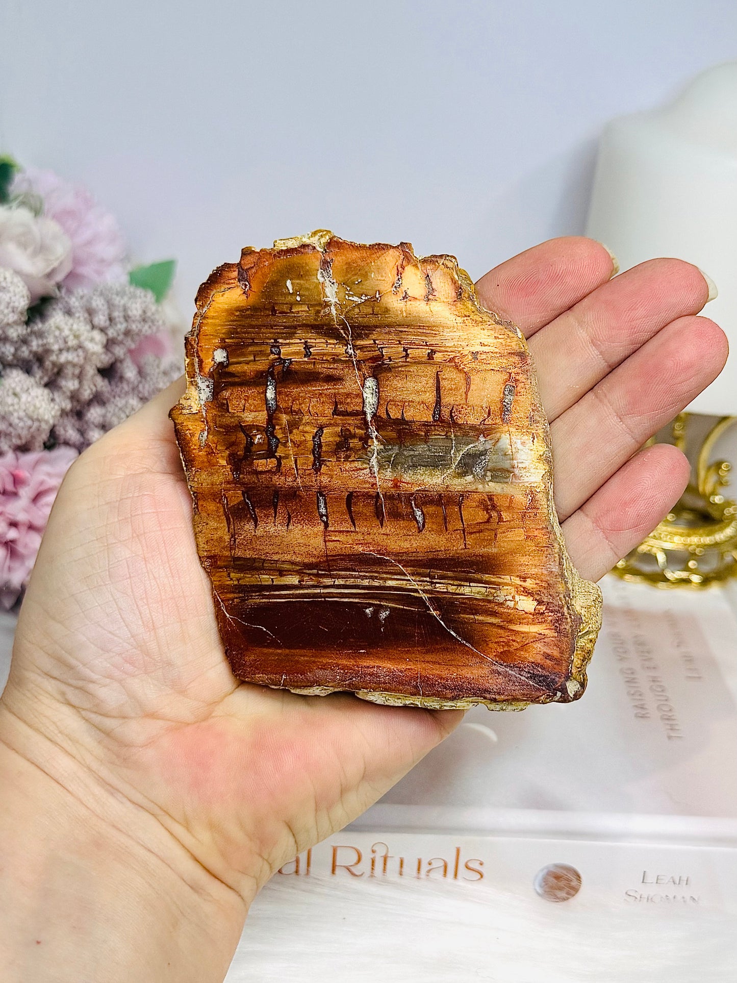 Natural Petrified Wood Slab 217g