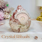High Grade Druzy Flower Agate Freeform 8cm
