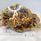 Large Agate Creek Thunder Egg Slab on Stand 25cm