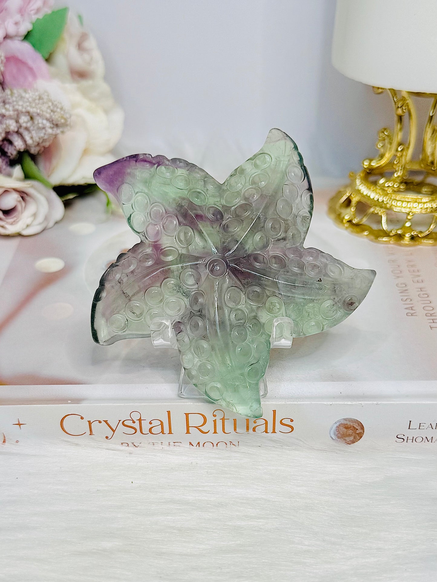 Fluorite Star Fish On Stand 9cm