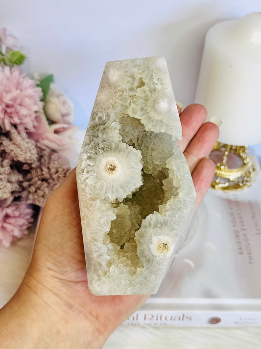 Absolutely Incredible Large Druzy Flower Agate Polished Freeform 12.5cm 653grams