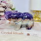 Amethyst X Mexican Lace Agate Elephant 12cm 430g