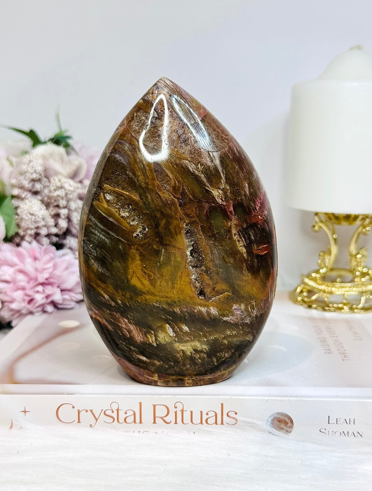 Large Petrified Wood Freeform 13cm 720g