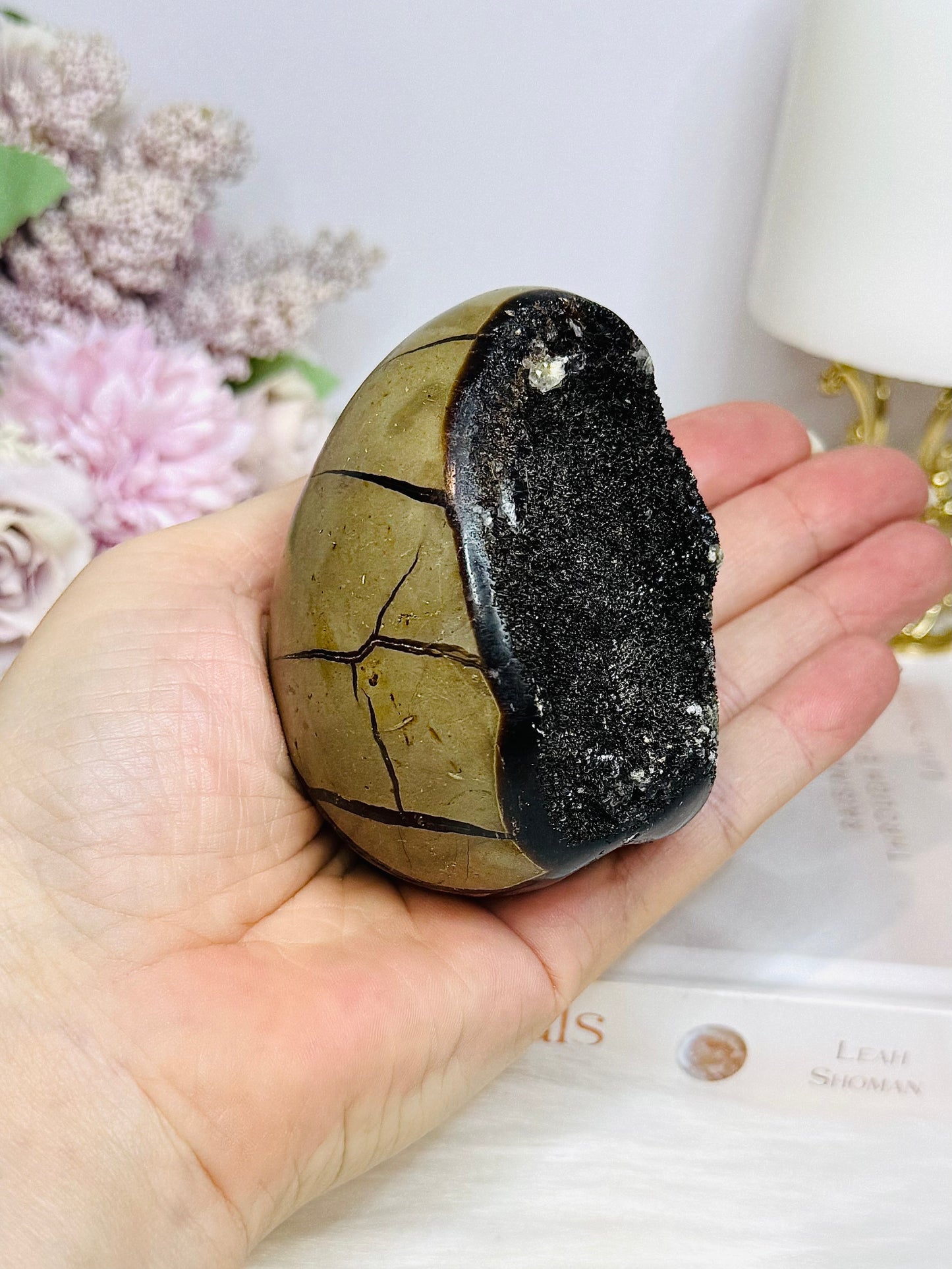 Druzy Septarian Egg on Stand 344g