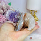 Amethyst X Mexican Lace Agate Elephant 10cm 351g